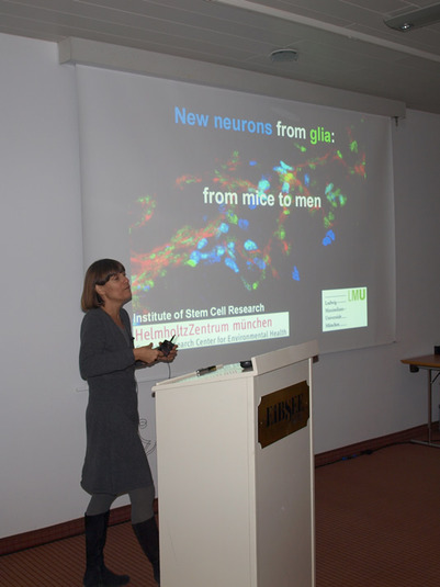 Magdalena Götz: New neurons from glia – from mice to man